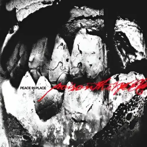 Poison The Well : Peace in Place